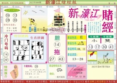 新濠江赌经A